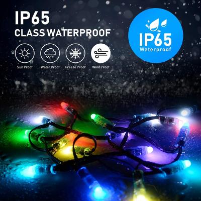 China Fairy lights IP65 smart waterproof RGB LE TDC smart alexa remote control fairy lights string Google Assistant and alexa fairy lights WIFI BLE outdoor for sale