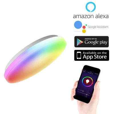 China Modern Alexa Google Home 2700-6500K RGB LED Ceiling Light CCT 20W Energy Saving Smart Lamp Led Lights For Home for sale