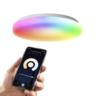 China RGB Color Changing Remote Control Compatible with Alexa Google Home RGB LE TDC 2700-6500K 20W Indoor Led Ceiling Light Colorful Ceiling Light Lamp for sale