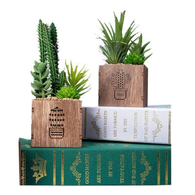 中国 Set Of 3 Home/Office Decorations Wooden Flower Planter Box Led Lights Artificial Succulents Box, 販売のため