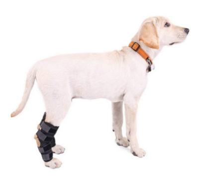 China Wholesale Breathable Adjustable Elasticity Support Back Injury Recover Leg Neoprene Dog Canine Knee Brace for sale