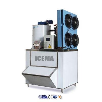 Cina 3.6KW Industrial Portable Ice Flake Maker for Fish 1T/2T/3T/5T Flake Ice Machine in vendita