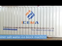 Efficient and Reliable Showcase of 6-ton Container Block Ice Machine