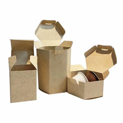 China Late Paper Recyclable Packaging Box With Hole Paper Bottle Box Custom Euro Packaging Box With Custom Logo Low Moq for sale