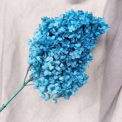 China Wedding Flower Arrangements 2022 Yungnan Dried Flower Wholesale Hot Seller Dried Hydrangea for Home Decoration and Weddings for sale