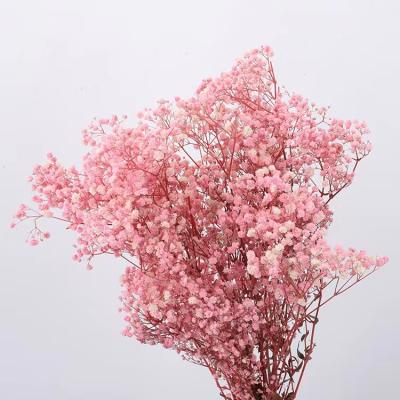 China Weding Home Decoration 2022 Nordic Style Home Decoration Preserved Gypsophila Used Valentine And Wedding Decoration for sale