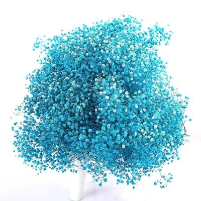 China Wholesale Home Gypsophila Bouquet Flower Bouquet Factory Yunnan Mantianxing Decoration Hotel Decoration Home Flower Arrangement for sale