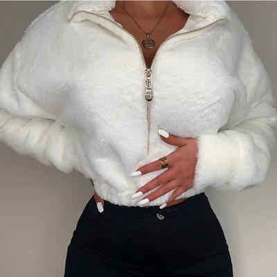 China 2021 New Winter Waterproof Plush Zipper Coats Warm Jacket Pockets Teddy Thick Winter Short Women Faux Fur Coat for sale