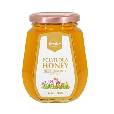 China 500g Popular Glass Jar 100% Pure Natural Organic White Polyflora Honey Comb Royal Honey Bee Honey White Honey-1 for sale