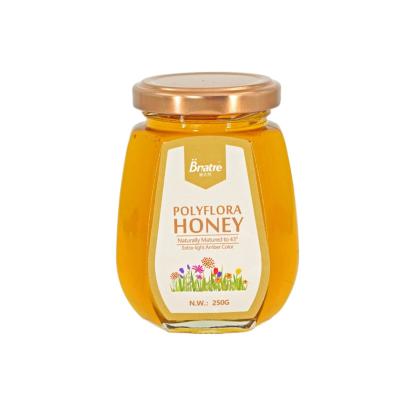 China 100% Honey Popular 250g Natural Pure Natural Amber Honey Comb Royal Honey Bee 250g Jar 100% Natural Organic Extra Light Honey for sale