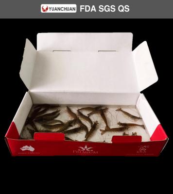 China Disposable Waterproof Corrugated Shrimp Box Competitive Price for sale