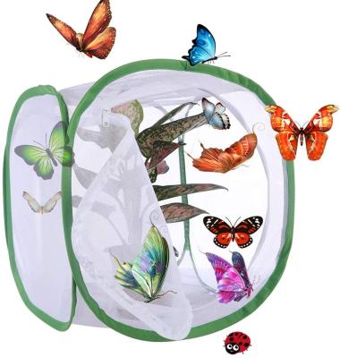 China Kids Learing Toys Folding Catcher Mesh Insects Plant Cage Terrarium Net Insect Habitat Automatic Butterfly For Child for sale