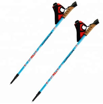 China Shockproof Cork Twist Lock Cork Handle 2 Section Telescopic Walking Poles 17SNS905 for sale