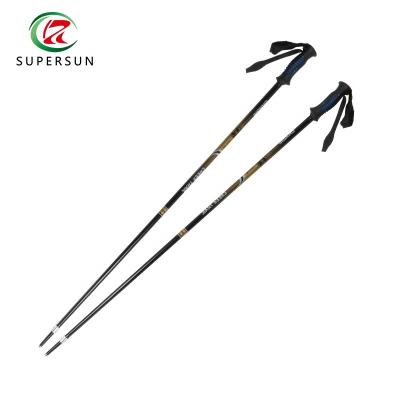 China Efficiency Factory Price One Section Aluminum 6061 Ski Pole for sale