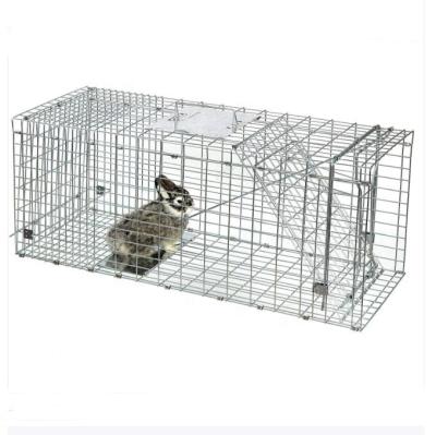 China Large Size Barrier Collapsible Animal Trap For Trapping Raccoons And More Rats Rabbits Squirrels for sale