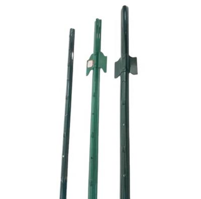 China Waterproof Black Green or Hot Dip Galvanized Y/T Star Fence Post (American Farm Use) for sale