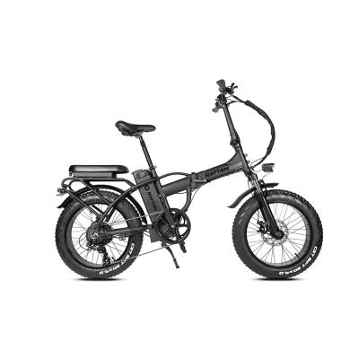 China Multifunctional rattan LM top sale guaranteed high quality 750W step tire fat electric bicycle china ebike for sale