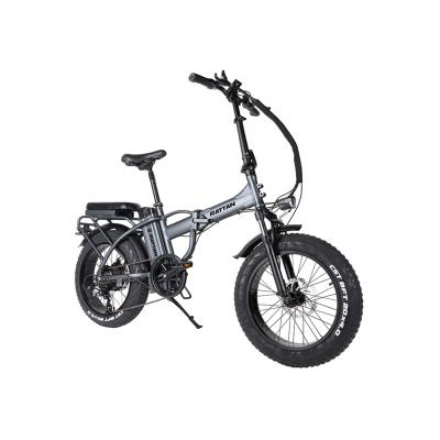 China Multifunctional rattan dropshipping LM 48V 750W adult ebike folding fat tire ebike dirt electric bike for sale