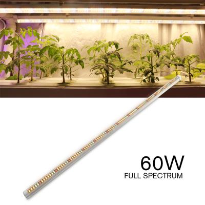 China Seed Starting Sinjialight T8 4ft 60W Full Spectrum LED Grow Light Tube LED Raise The Bar For Indoor Plant Vegs System Vertical Hydroponics Agriculture for sale