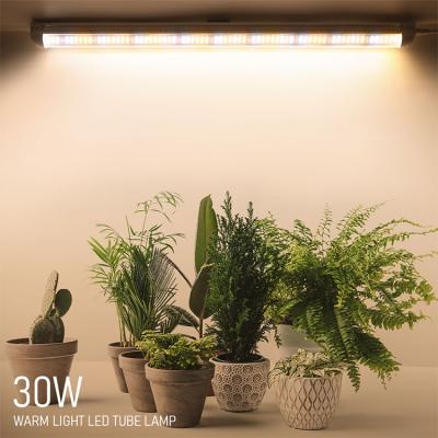 China Seed Starting 3pcs Per Set Professional Vertical Red Warm White Led Farming Systems T8 Plant Grow Light Tube 30w for sale