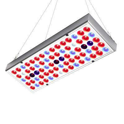 China Seed Starting Sinjia 25W 75 Beads Full Spectrum Rectangle Led Phyto Plant Light Lamp With Power Cord Hanger Kit For Flower Vegetable Fruit for sale