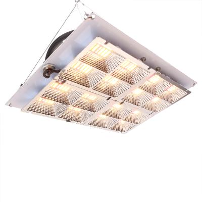 China Seed Seed Planting SINJIA Dimmable Full Spectrum Warm LED Grow Light With MW Power Supply ZW0359 for sale