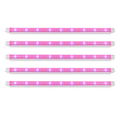 China ZW0183-A SINJIA 30W 0.6m G13 T8 5in1 Hydroponic Tube Light Seed Starting Light for sale