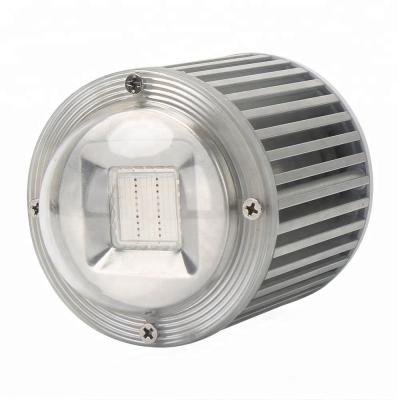 China SINJIA Aluminum Alloy Integrated 60W Factory Led Corn Grow Light ZW0145 for sale