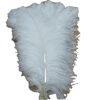 China Arts and Crafts Post Ostrich Feather 55-60cm Stage Performance White Feather Ostrich Feather Thick Decorative Feather for sale