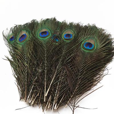 China DIY Tried 50PCS 60-70cm Natural Peacock Feathers For Sale Cheap DIY Craft Wedding Dresses Feather Crafts for sale