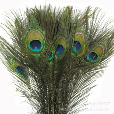 China DIY Ruled 70-80cm 30PCS Peacock Feathers Feather Crafts Decorations Wholesale for sale