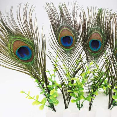 China DIY Felt 110-120cm Big Feathers 30PCS Sets Natural Peacock Feathers Crafts Home Decorations for sale