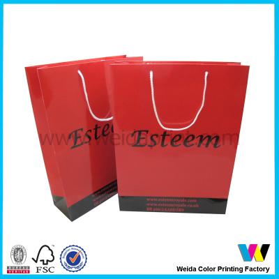 China Custom Printed Paper Shopping Bags Promotional Shopping Bags With Pp Rope for sale