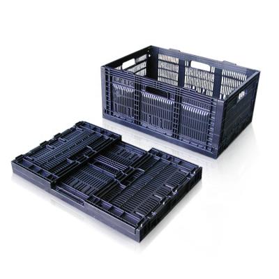 China China Steel Plastic Injection Molding Collapsible Crate Inject Mold Container Mold Maker for sale