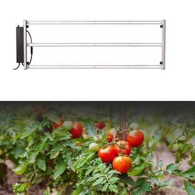 China Seed Starting Maker Sunlike Vertical Farming Led Grow Light Bar To Grow Light Lamp Light Spectrum Led for sale