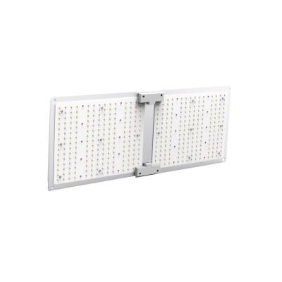 China Seed starting 2021 to grow light economic led commercial led grow light waterproof led grow light for sale