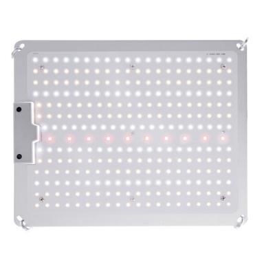 China Seed Seed Growing Super Quality 100W Plant Cheap Led Grow Lights Commercial Led Grow Light Greenhouse Led Grow Light for sale