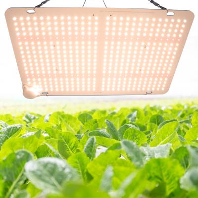 China Seed Starting 2021 Best Full Spectrum Led Grow Board Led Light Hydroponics Greenhouse Light Plant Grow for sale