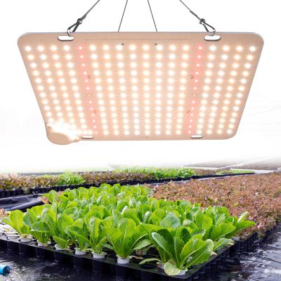 China Seed Starting Top Survey China Led Grow Light Indoor Plants Growing Light Hydroponic Led Lamp Panel for sale