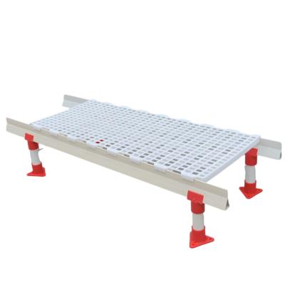 China Low Price White Plastic Slatted Poultry Flooring Farms Slat Slat Plastic Flooring for sale