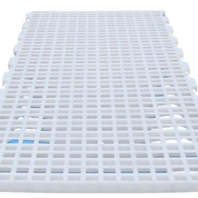 China Cheap Plastic Flooring New Plastic Hot Sales Plastic Poultry House Slat Poultry House Slat Easy Cleaning Plastic Flooring New for sale