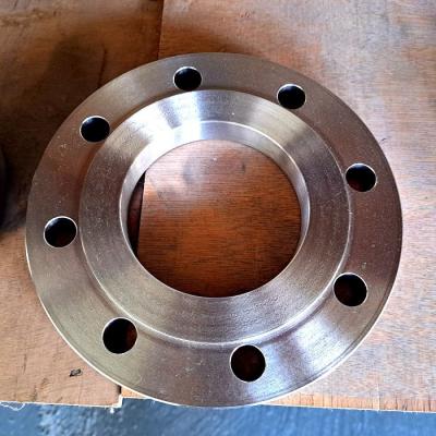 China Sandblasted Titanium Pipe Flanges Forged For Corrosion Resistance for sale