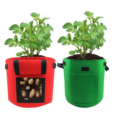 China Durable Nonwoven Gardening Plant Potato Cloth Pot Arbutus Planter Vegetable Planting Grow Bag For Plants for sale