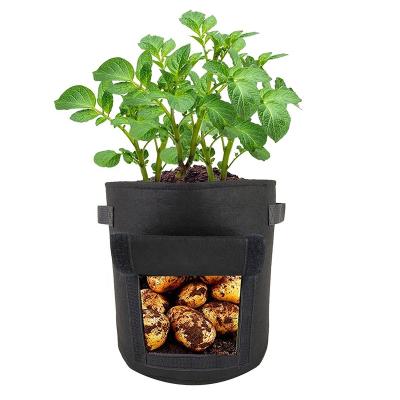 China Durable Eco Friendly Customized 5 / 7 / 10 Gallon Felt Tomato Potato Planting Pots Growing Bags With Fin for sale