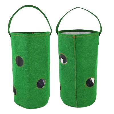 China Wall Hanging Durable Breathable Strawberry Growing Bags Vegetable Felt Growing Bags Outdoor Yard DIY for sale