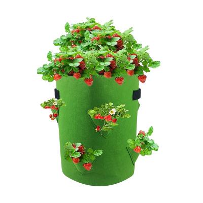 China Durable Fabric Raised Garden Bed Strawberry Felt Growing Bag Nonwoven Fabric Plant Grow Bags For Tomato for sale