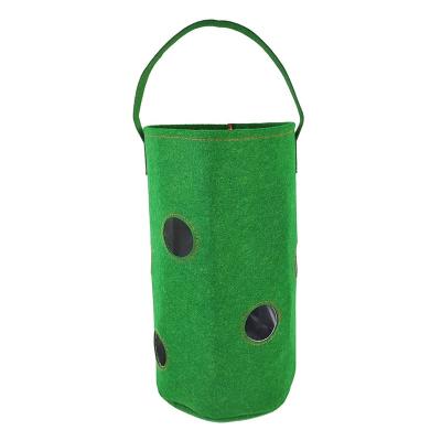 China Durable 1-400 Gallon Held Hanging Bag Plant Kenya Growing Grow Bag For Strawberry Growing DIY Outdoor Yard for sale