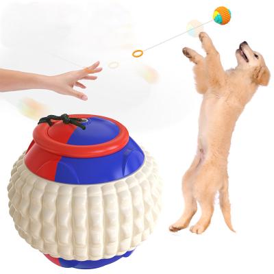 China New Design Viable Pet Supplies Indestructible Dog Chew Toy Molar Pet Toy Interactive Throw Dog Ball Toys for sale