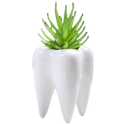 China Mini Cute Tooth Shaped Creative Eco-friendly Wholesale Desktop Decorative White Succulent Pot Ceramic Flower Pot for sale