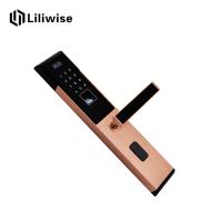 China Combination Keypad Hotel Door Locks OLED Display With Password Card for sale